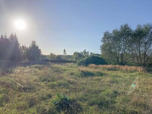 Blick nach Süden - 