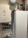 IMG_5854.jpeg - 