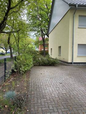 IMG_5869.jpeg - 