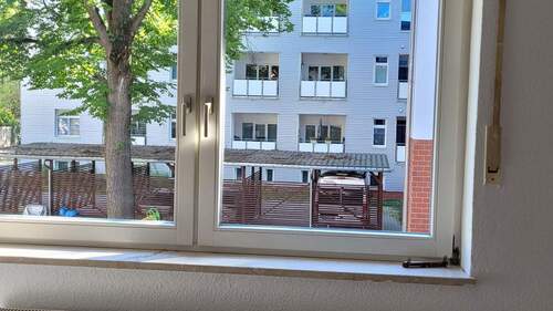 20250818_100501.jpg - 