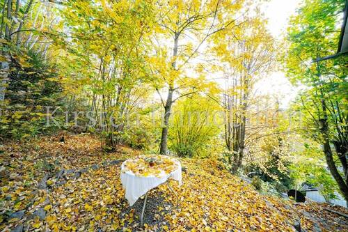 Freisitz - 5 Zimmer Einfamilienhaus in Meßstetten