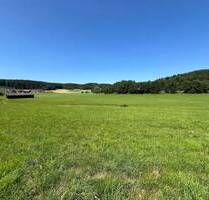 vielseitig nutzbares Grundstück umgeben von der Natur - Waidhaus