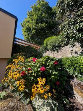 Aussen Blumen 1.jpg - 5 Zimmer Mehrfamilienhaus, Wohnhaus in Lörrach