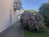 Grundstück Rückseite Haus.jpg - 