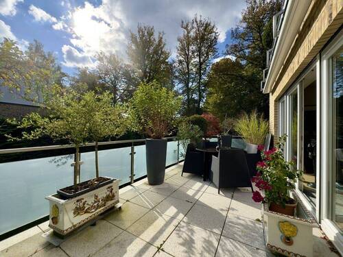 Blick in den alten Baumbestand - 