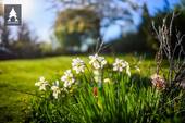 Momente - 