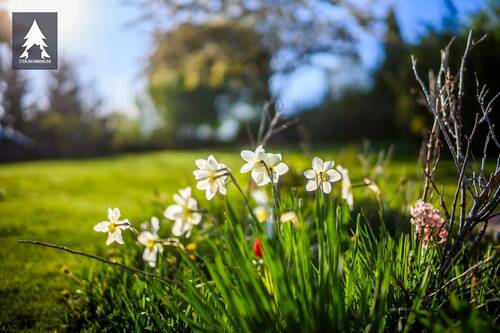 Momente - 