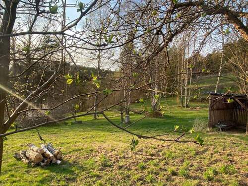 myGWKt4g - Kopie.jpeg - 