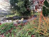 Garten mit Teich - 