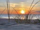 Bild 14 - 