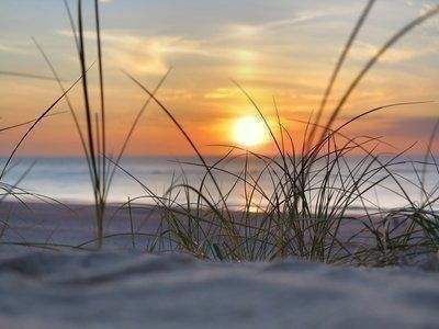 Bild 14 - 