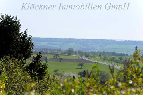 Blick ins Grüne - 