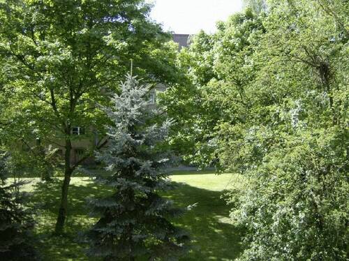 Blick in den Ulmenhof - Etagenwohnung mit 48,90 m&sup2; in Berlin zur Miete