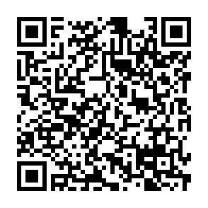 QR-Code - 