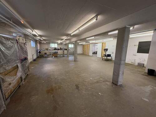 Halle UG - 