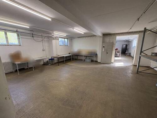 Halle UG - 