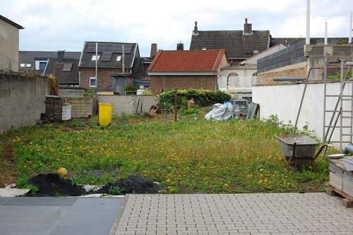 Sonniger Garten - 
