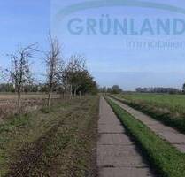 *Landwirtschaftliche Grünland-Flächen zu verkaufen!* - Brunne