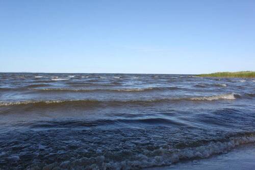 Stranddetail in Bellin - 