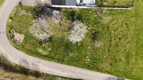Luftbild - Großzügiges Baugrundstück im Baugebiet Steinenhäldele Wallbach