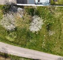 Großzügiges Baugrundstück im Baugebiet Steinenhäldele Wallbach - Bad Säckingen