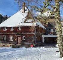 Doppelhof in sonniger Alleinlage und Teilautarkie - Schluchsee Schönenbach
