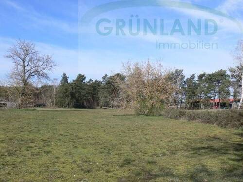 Bild 1 - *Hier könnte zukunftsorientiertes Wohnen entstehen!*