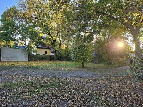 Bild 3 - Grundstück in Birkenwerder