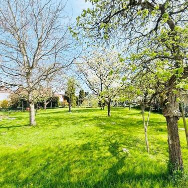 Grundstück - SETENHEITSWERT: Sonniges Baugrundstück in ruhiger Lage im Ortskern!