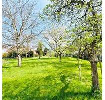 SETENHEITSWERT: Sonniges Baugrundstück in ruhiger Lage im Ortskern! - Hilzingen