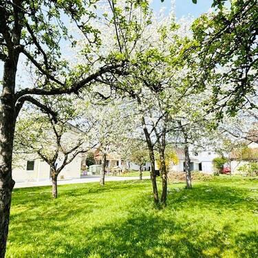 Grundstück - Grundstück zum Kaufen in Hilzingen