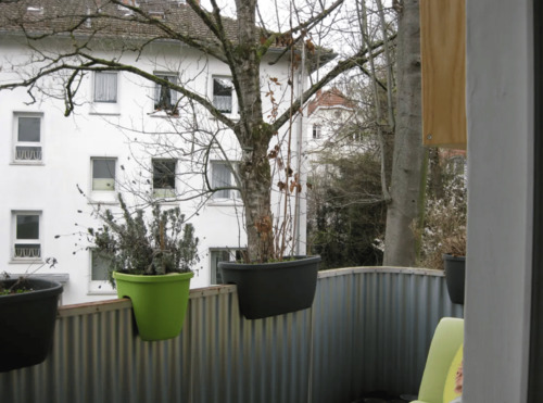 Balkon - 