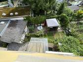 Blick in den Garten - 
