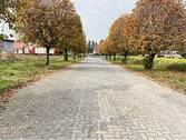 Zufahrt Allee - 
