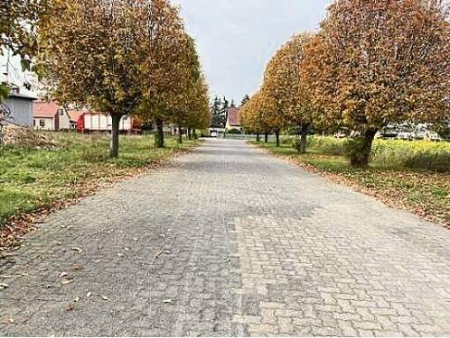 Zufahrt Allee - 