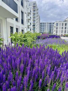 Garten - 2 Zimmer Etagenwohnung in Berlin
