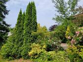 Garten - 
