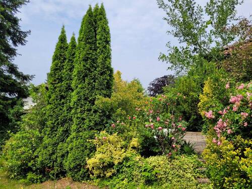 Garten - 