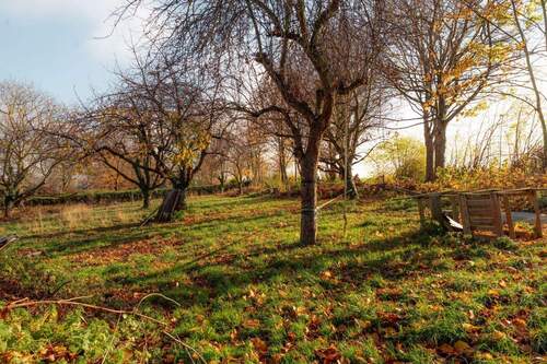 Fallobstwiese - 1 Zimmer Einfamilienhaus in Vettweiß