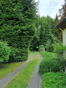 Fahrweg zum Haus - 