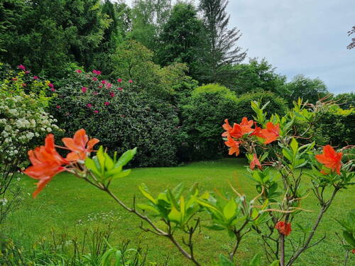 Garten im Mai - 5 Zimmer Einfamilienhaus in Wohltorf