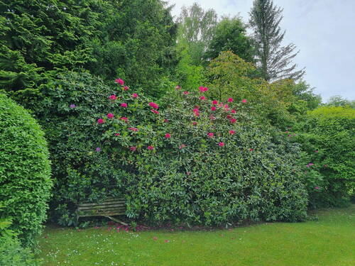 Rhododendron am Südende des Ra - Einfamilienhaus mit 90,00 m² in Wohltorf zum Kaufen