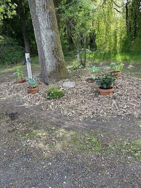 Bild 14 - 