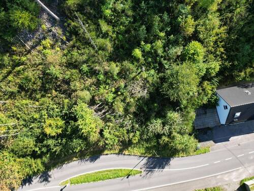 Ansicht vom gesamten Grundstück - Grundstück mit Potenzial in Bergneustadt – jetzt Ihre Chance sichern!