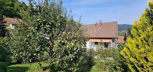 Südansicht - 9 Zimmer Doppelhaushälfte zum Kaufen in Freiburg im Breisgau