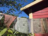 Details im Garten - 