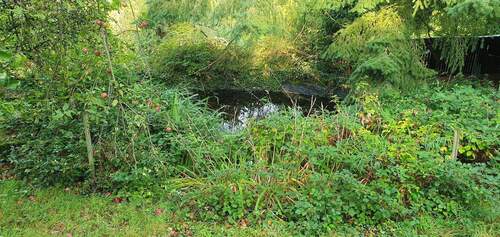 Bild 14 - 