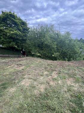 Bild 2 - Grundstück zum Kaufen in Neunkirchen-Seelscheid