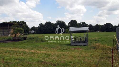 Weideland (bis zur hinteren Baumreihe) - 