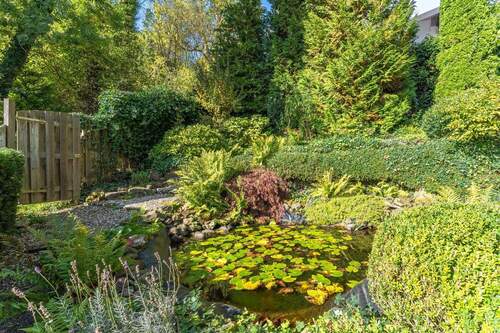Gartenteich - 